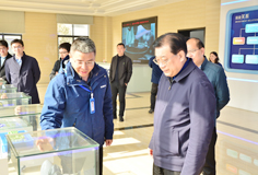 马鞍山市市长袁方一行莅临PA视讯平台新材料考察调研
